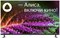 (м) NWX-43 F149MSY 2098365 - фото 65332