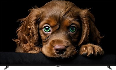 (м) TDTV50CQ08U BK 2189794