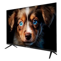 (э)  TDTV43ES13U BK 2189774