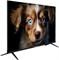 (м) TDTV43ES13U BK 2189782